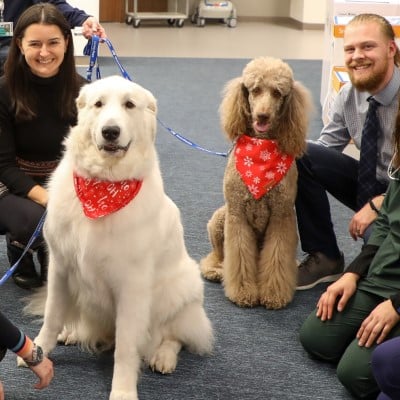 Loving Paws Therapy dogs and volunteers