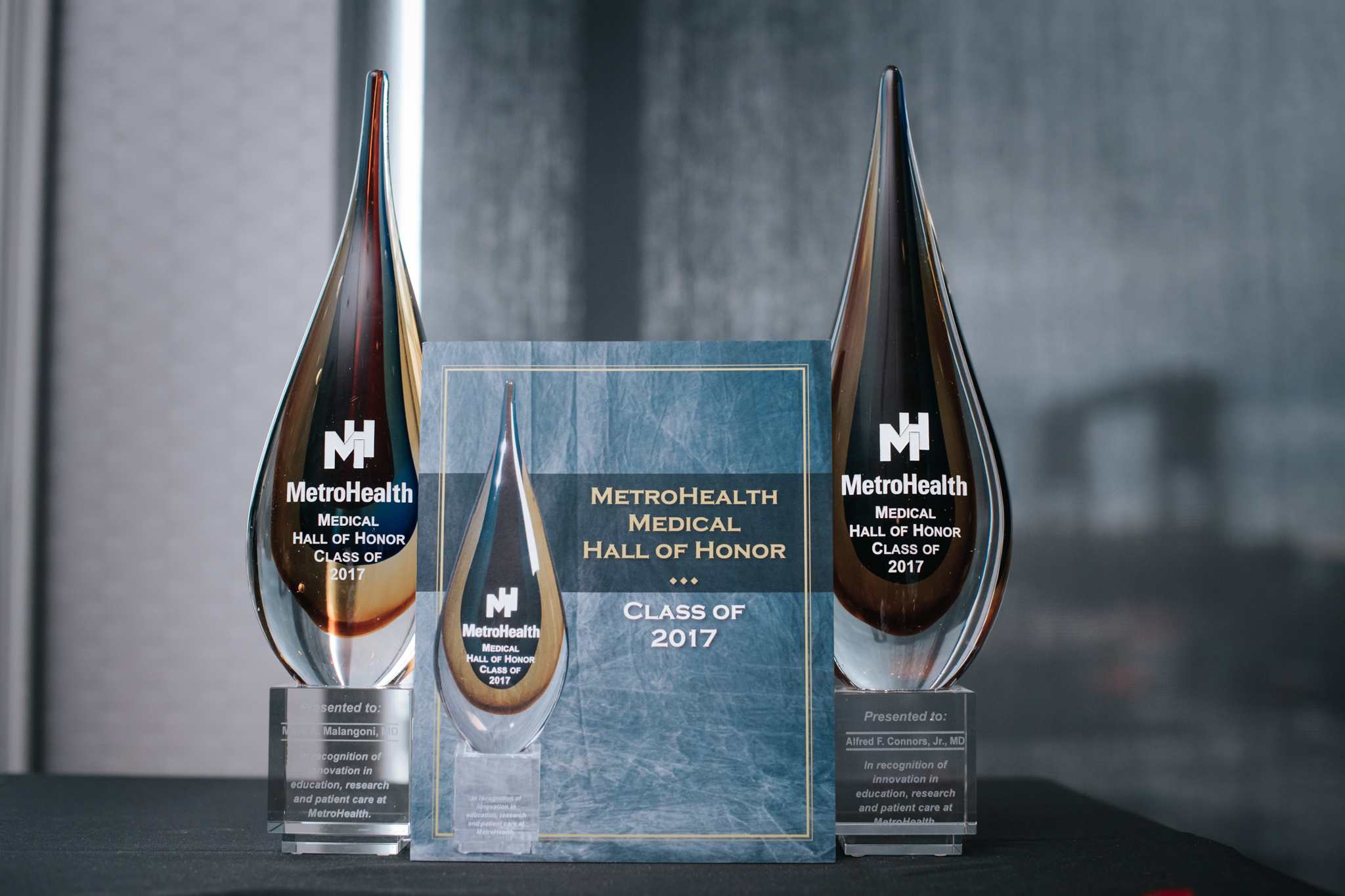 Hall of Honor 2017 trophies